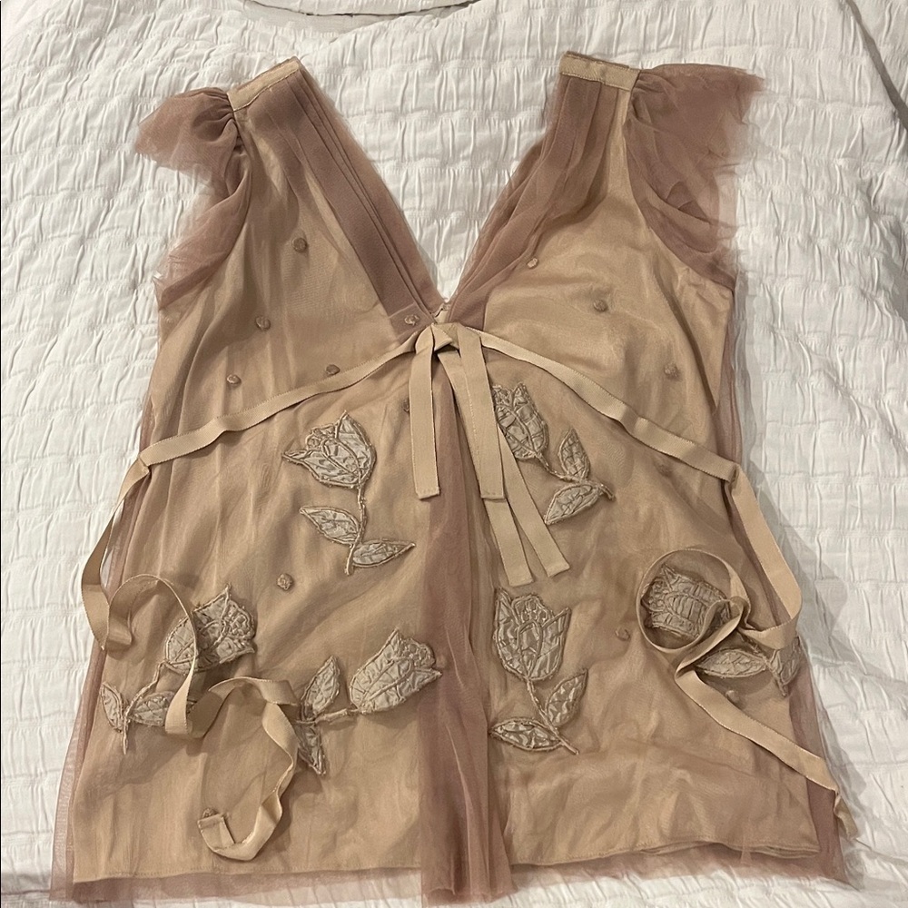 Anthropologie Sheer Blouse with Embroidered Details